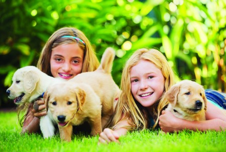Travelling with Your Puppy