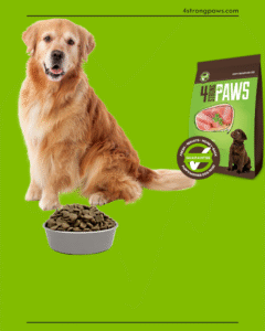 How to choose the best Dog food for your pet’s wellness