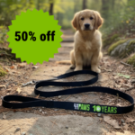 Leash