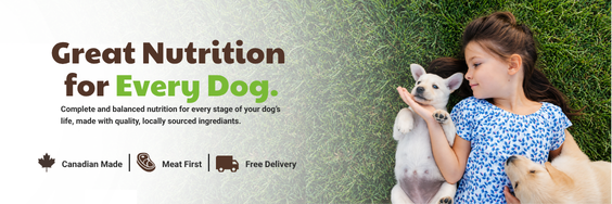 Great Nutrition for Every Dog – 4 Strong Paws dog food